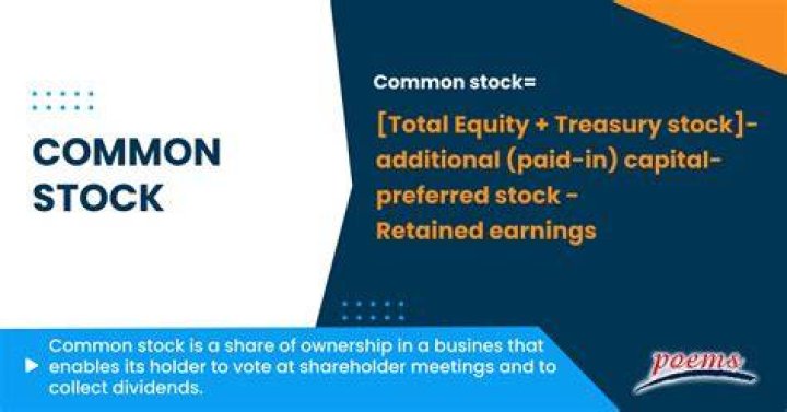 What are common stocks outstanding?