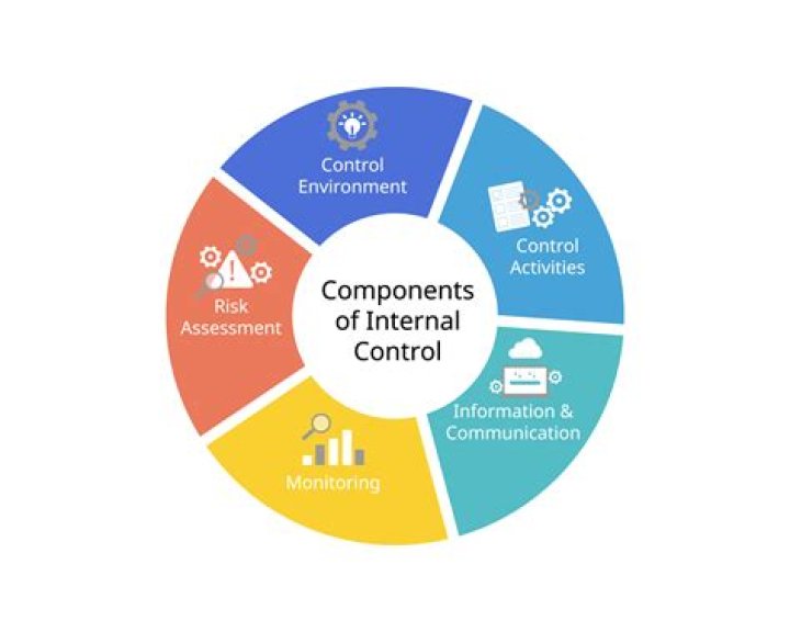 What are controls in an organization?