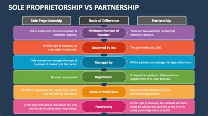 What are different advantages and disadvantages of sole proprietorship?
