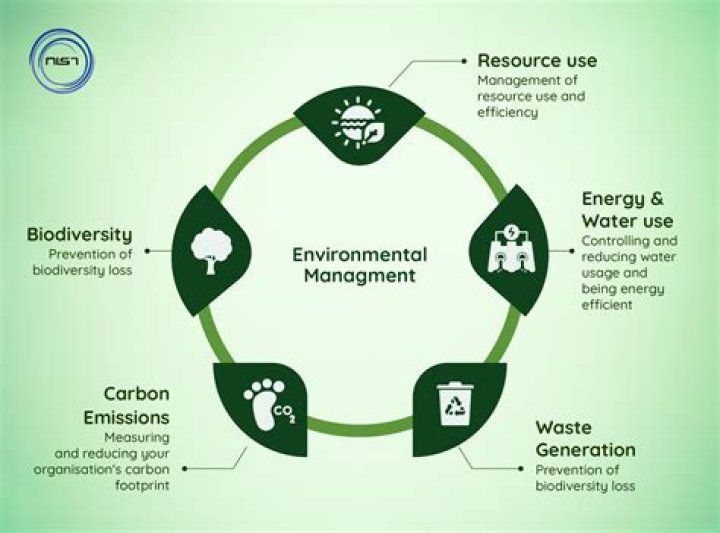 What are environmental forces in project management?