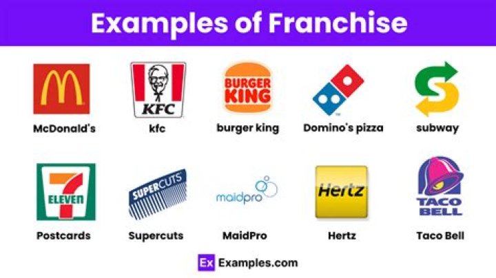 What are examples of a franchise?