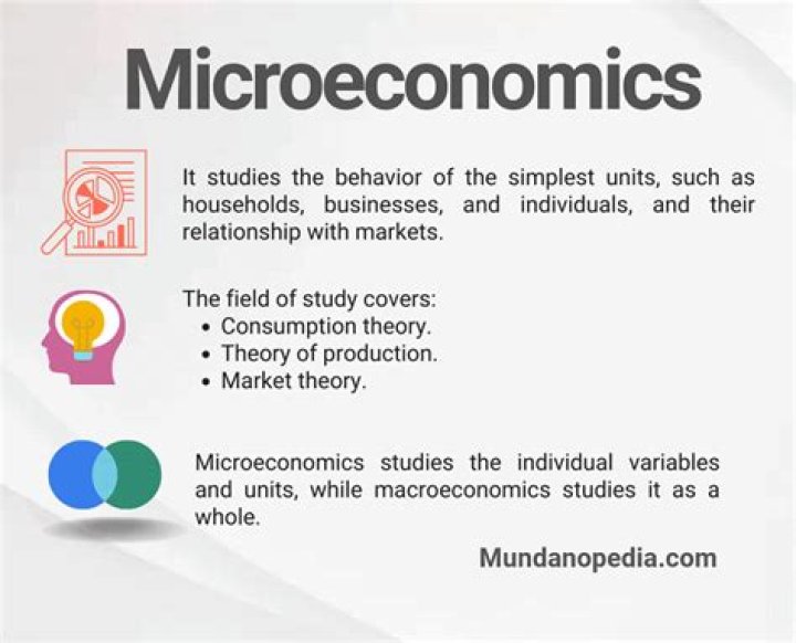 What are examples of microeconomics?