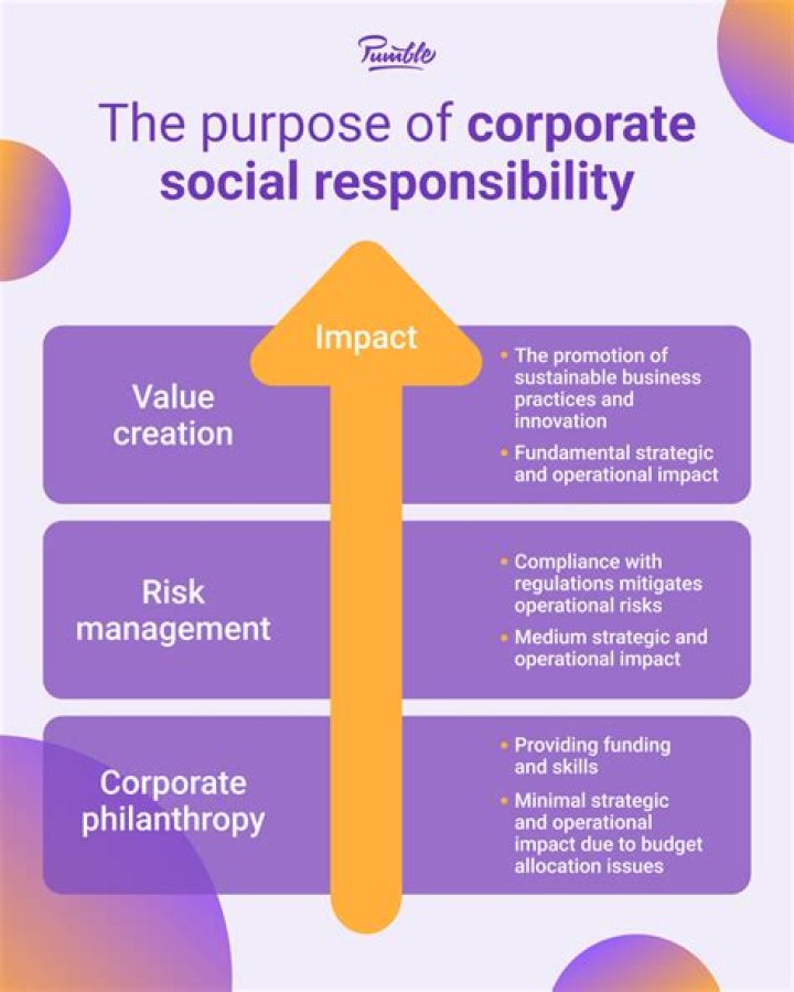What are examples of social responsibility used by companies?