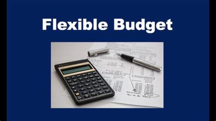 What are flexible budgets?