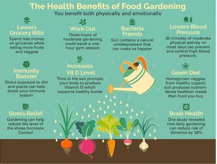 What are four benefits of growing your own plants?