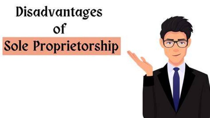 What are four disadvantages of owning a sole proprietorship?