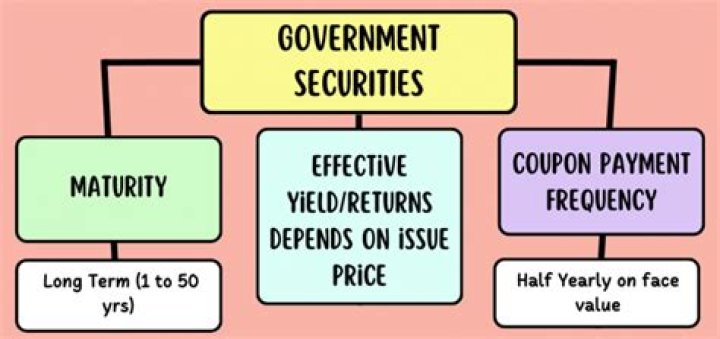 What are government securities in accounting?