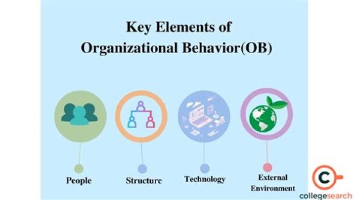 What are key elements of organizational behavior?