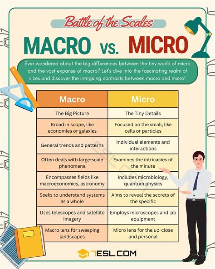 What are micro and macro challenges?