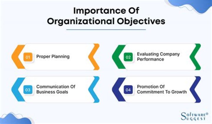 What are organizational goals and objectives?