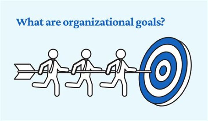 What are organizational goals?