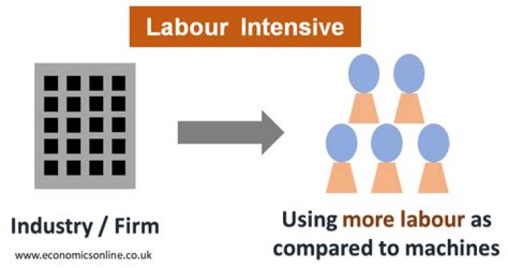What are problems commonly faced by labor intensive industries?