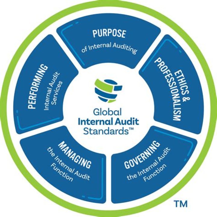 What are professional standards in auditing?