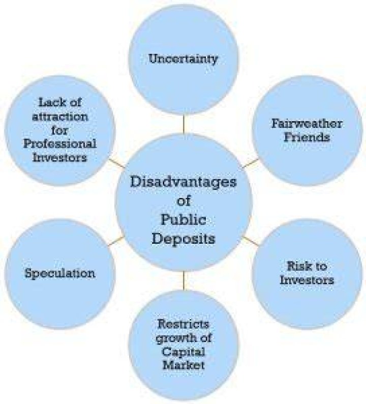What are public deposits?