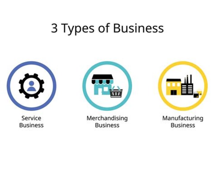 What are service merchandising and manufacturing businesses?