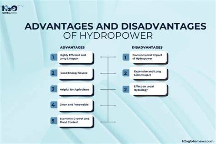 What are some advantages and disadvantages of standardization?
