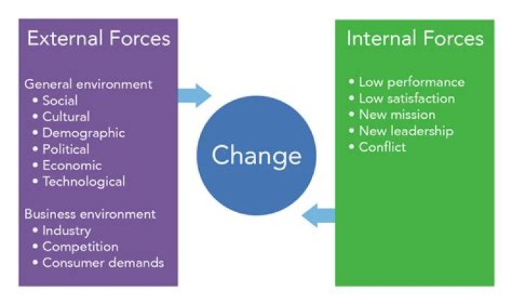 What are some causes of organizational change?