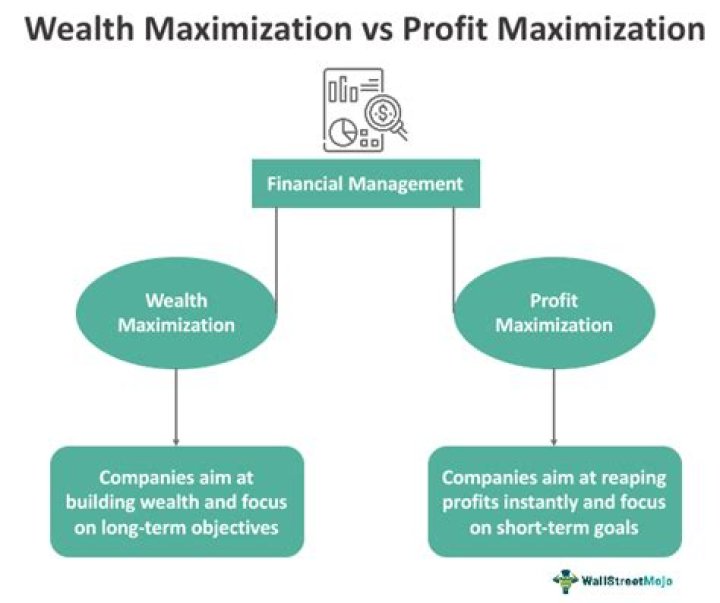 What are some of the problems involved in implementing the goal of maximization of shareholder wealth?