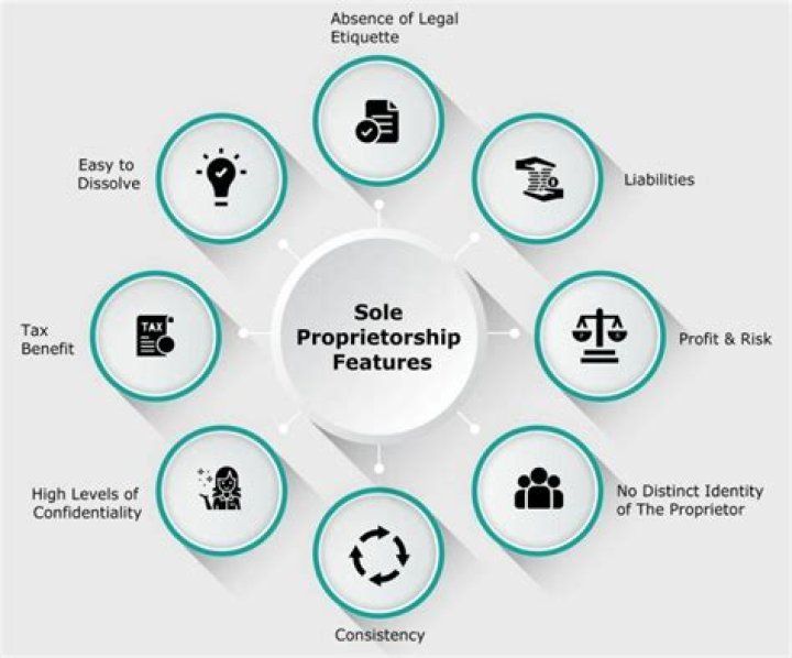 What are some sole proprietorship examples?