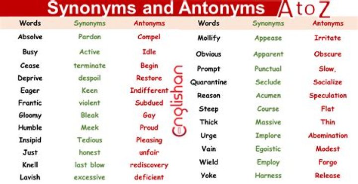 What are synonyms for follow?