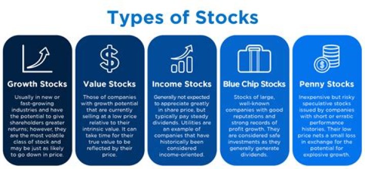 What are the 2 different types of stocks?