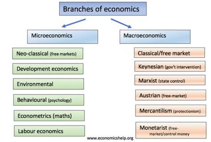 What are the 3 branches of economics?