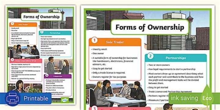 What are the 3 forms of ownership in a business?