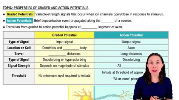 What are the 3 important ions in action potentials?