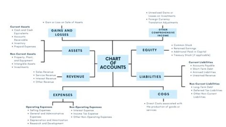 What are the 3 main categories of accounts for a service business?