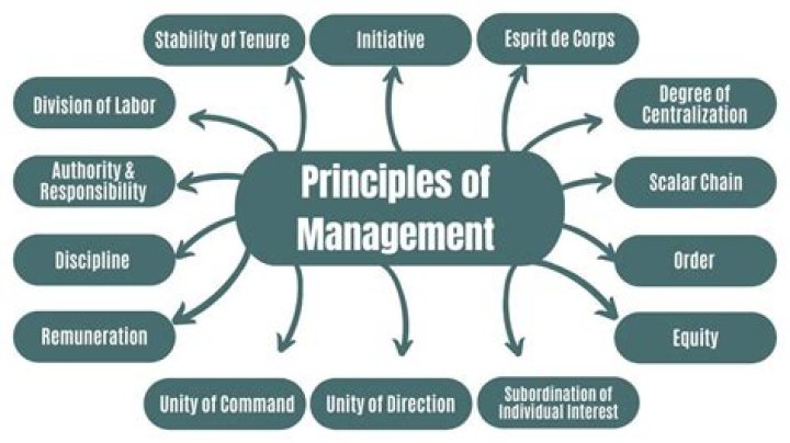 What are the 3 principles of economics?