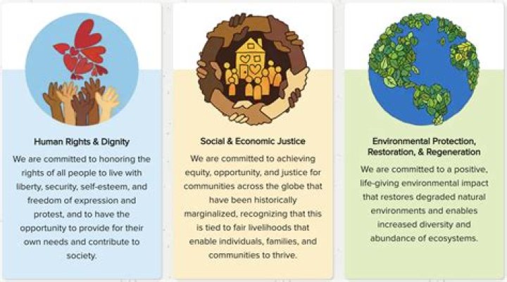 What are the 3 social responsibilities?