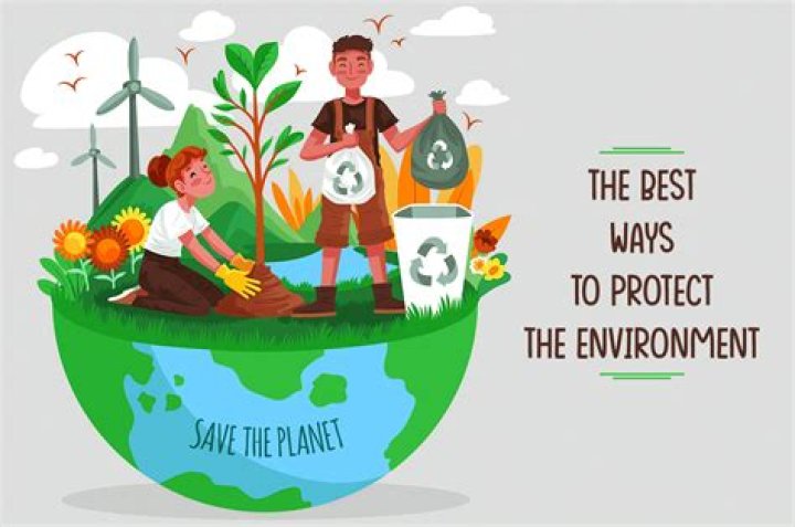 What are the 3 things government can do to help the environment?