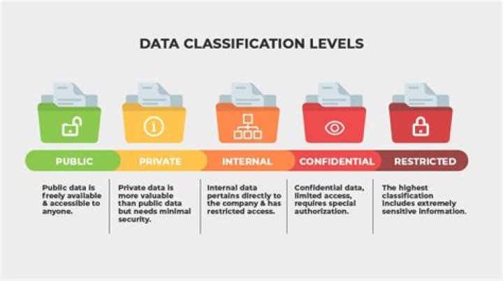 What are the 4 classification of stock?