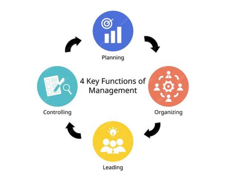 What are the 4 management process?