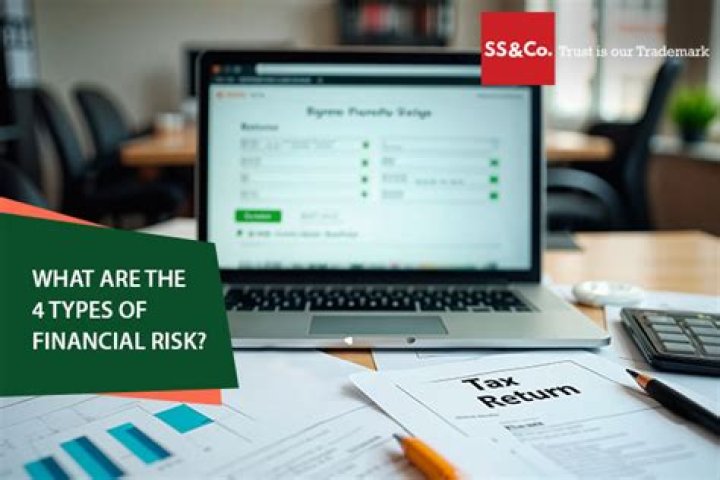 What are the 4 types of financial risk?