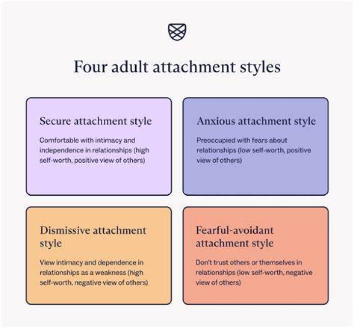 What are the 4 types of programs that universities offer?