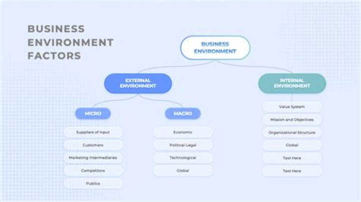 What are the 5 environmental factors in business?