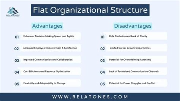 What are the advantages and disadvantages to the different types of business organization?