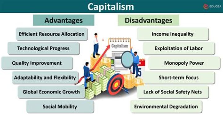 What are the advantages of capitalist system?