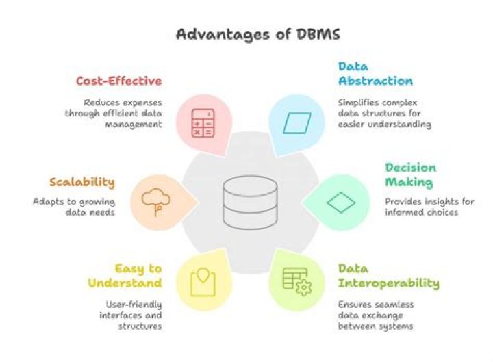 What are the advantages of information management system?