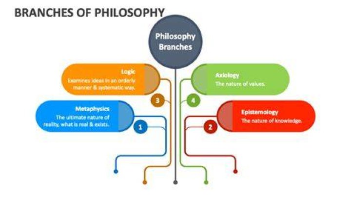 What are the branches of I-O psychology?