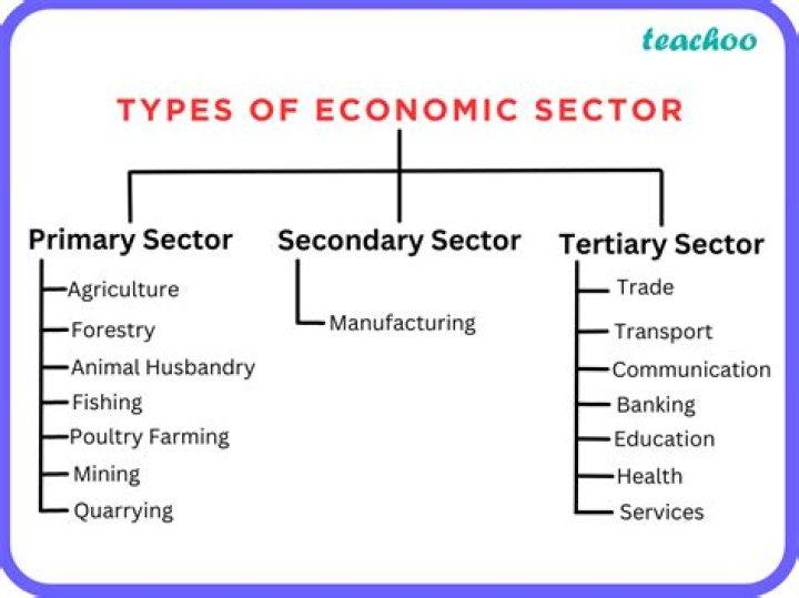 What are the changes in primary sector?