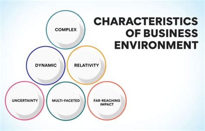 What are the characteristics of a traditional organization?