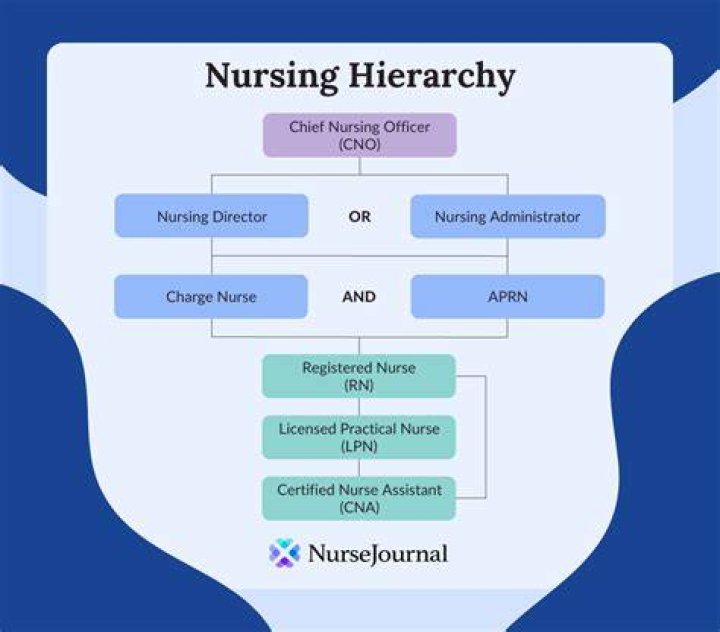What are the different ranks of nurses?