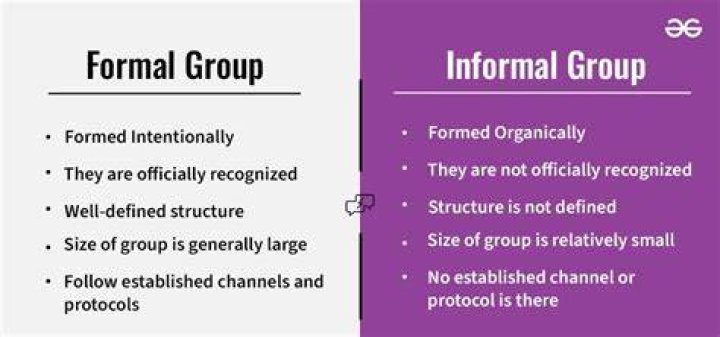What are the different types of informal groups?