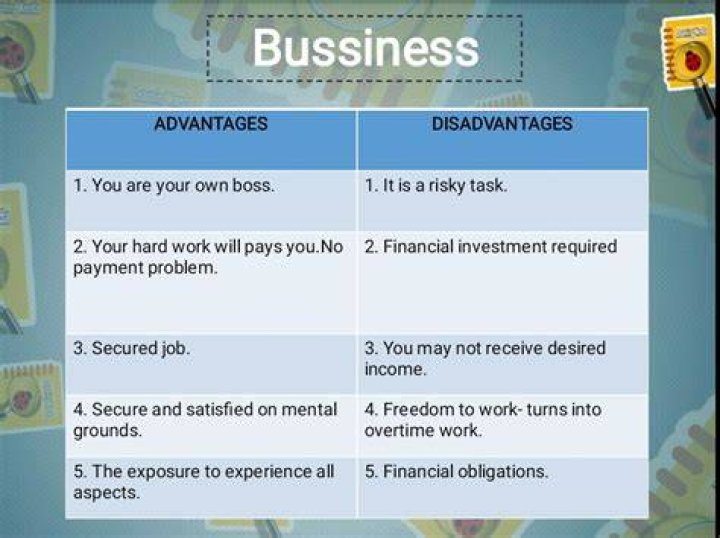 What are the disadvantages of a business?