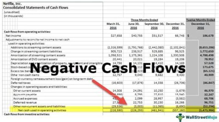 What are the disadvantages of a negative cash flow?