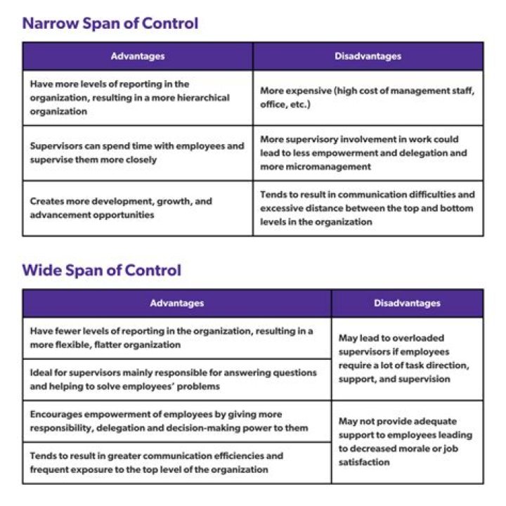 What are the disadvantages of a wide span of control?