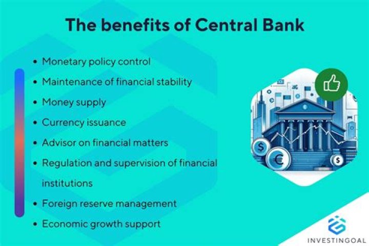 What are the disadvantages of central banks?
