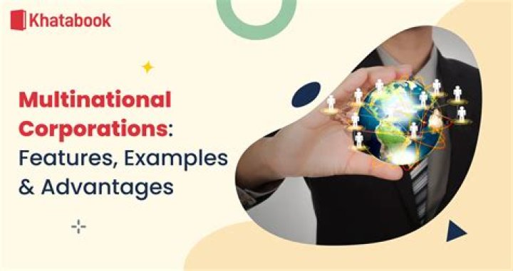 What are the disadvantages of multinational corporations?